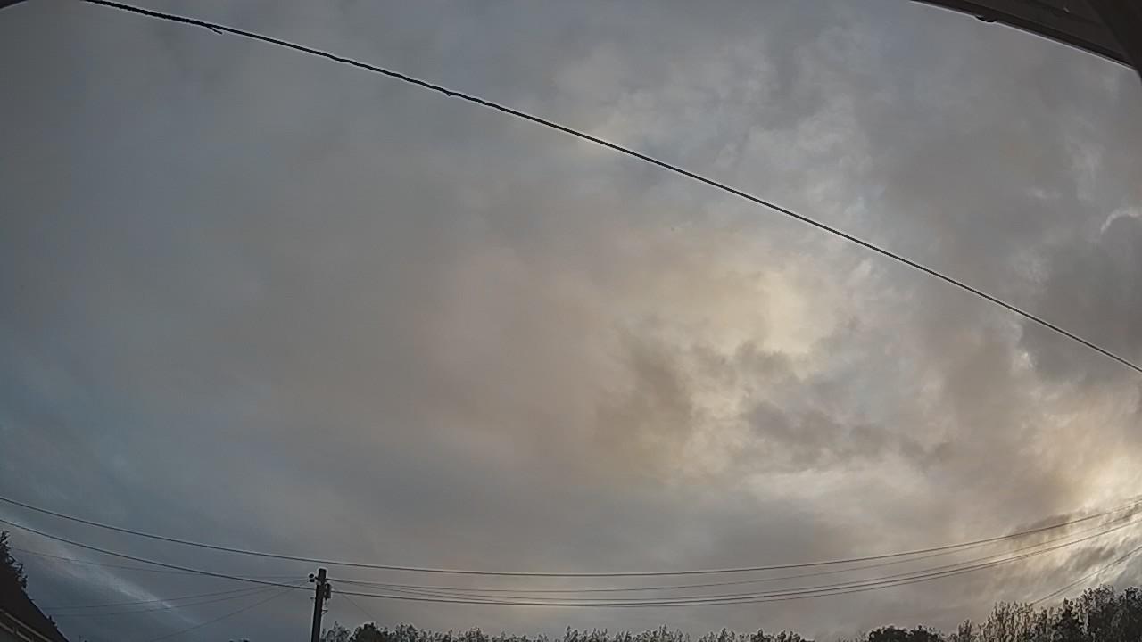 20260819_053459_cam2.jpg