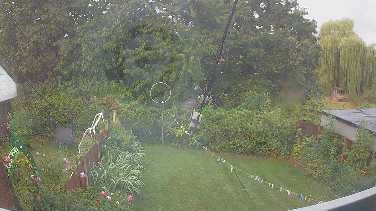 20260819_053943_cam1.jpg
