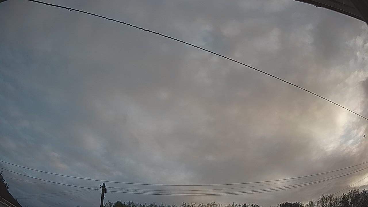 20260819_053944_cam2.jpg