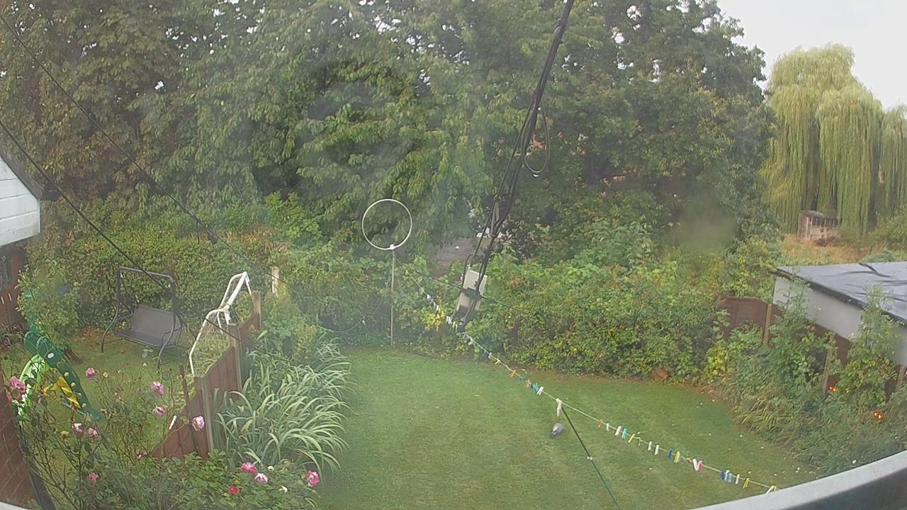 20260819_054429_cam1.jpg