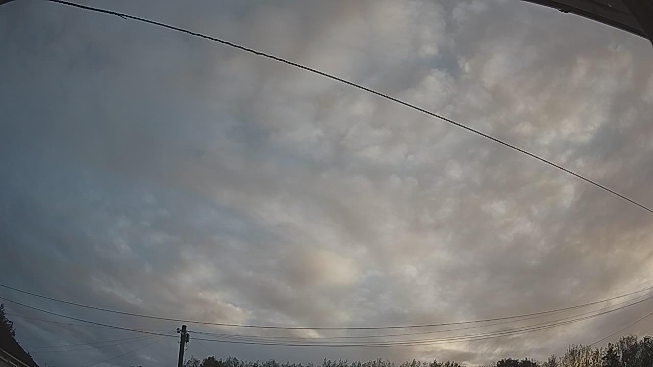20260819_054430_cam2.jpg