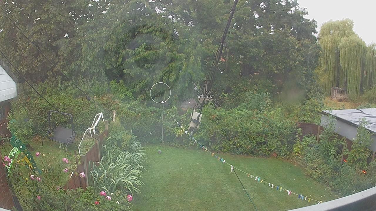 20260819_054914_cam1.jpg