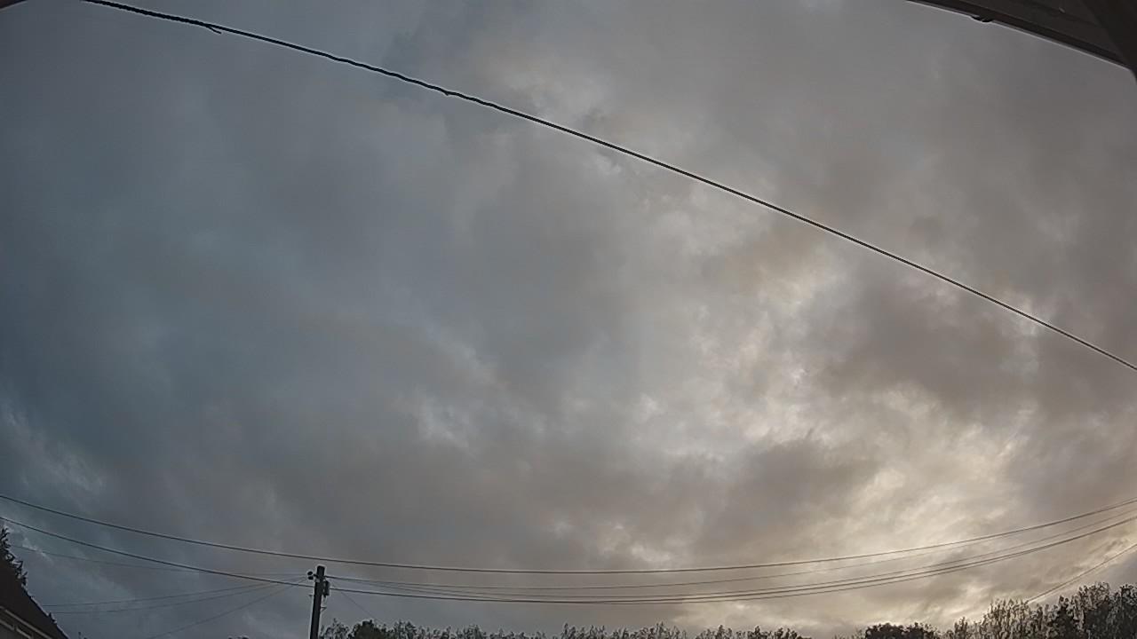 20260819_054915_cam2.jpg