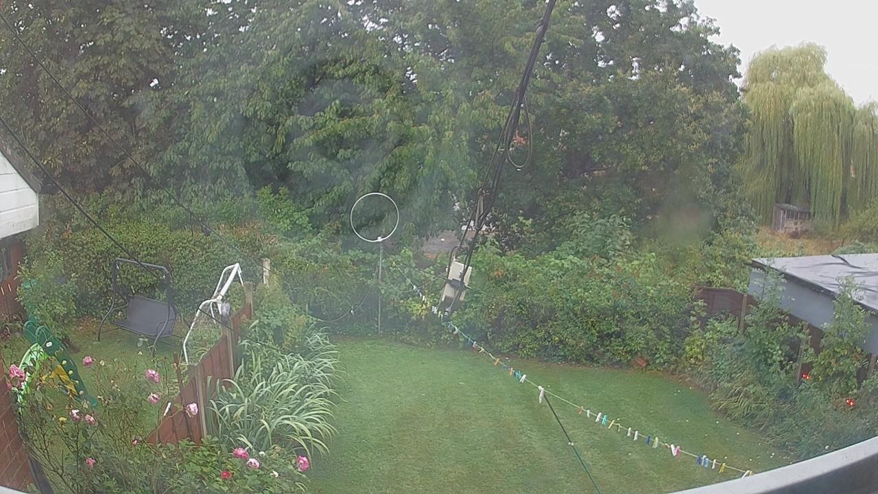 20260819_055844_cam1.jpg