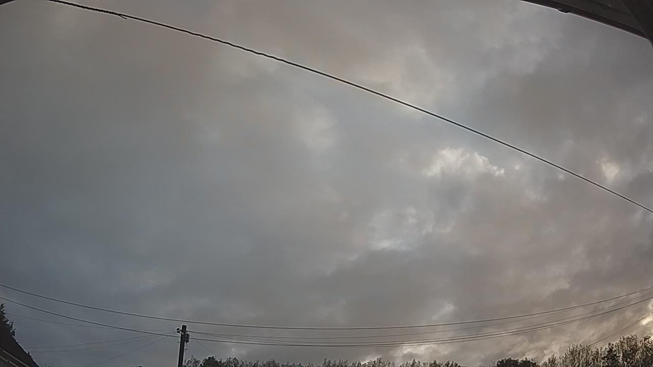 20260819_055845_cam2.jpg