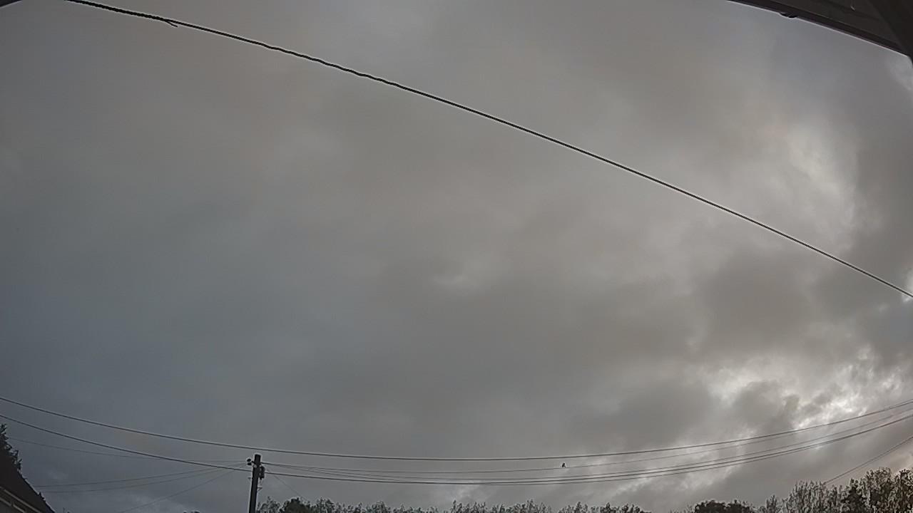20260819_060330_cam2.jpg