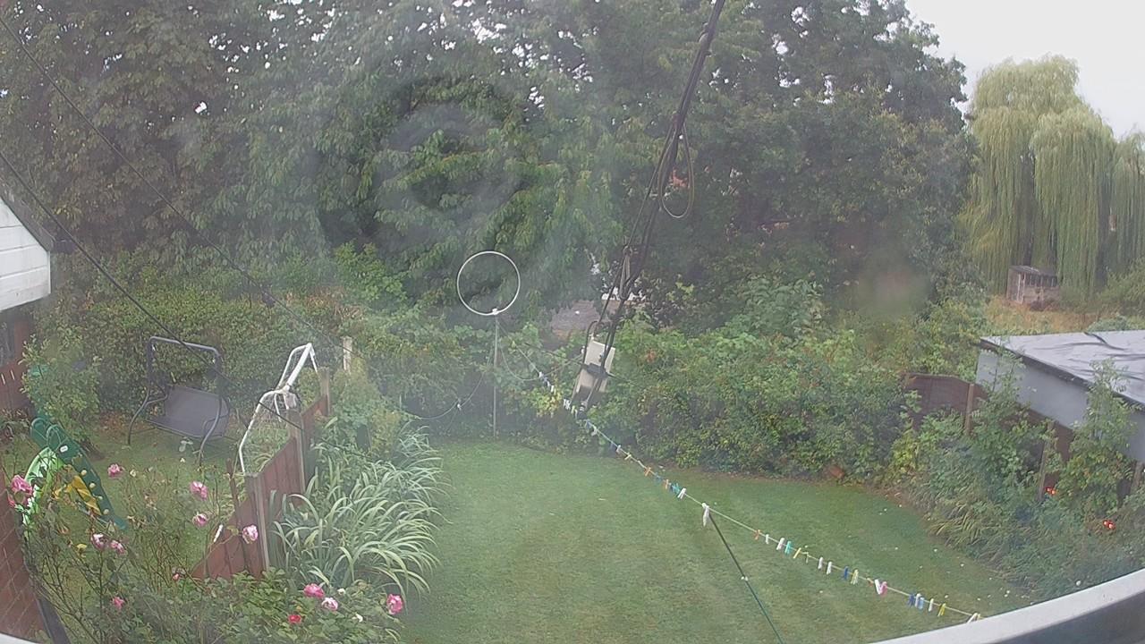 20260819_060813_cam1.jpg