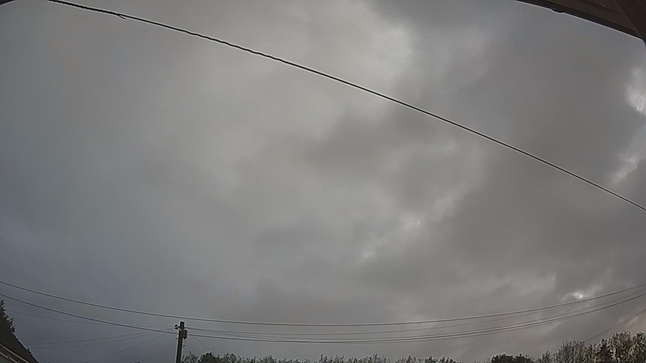 20260819_061259_cam2.jpg