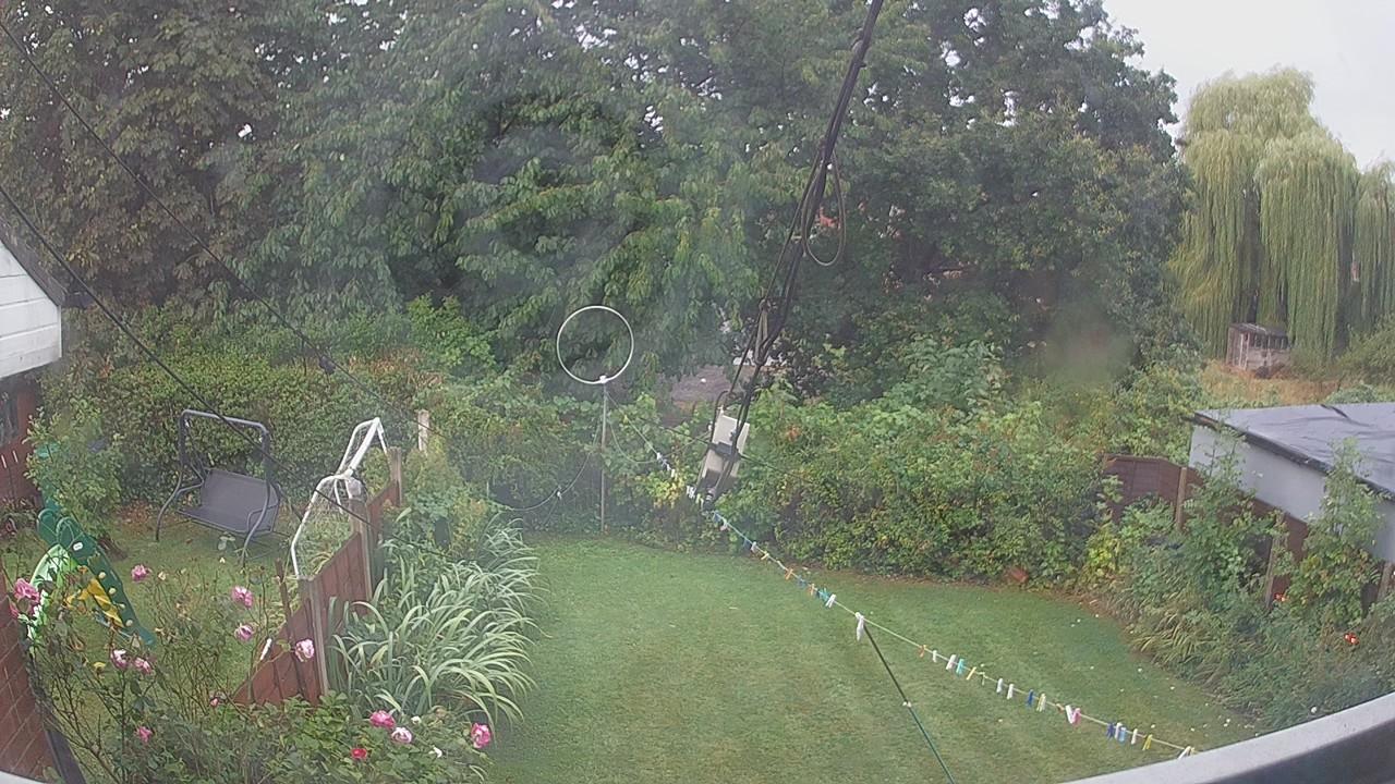 20260819_061743_cam1.jpg