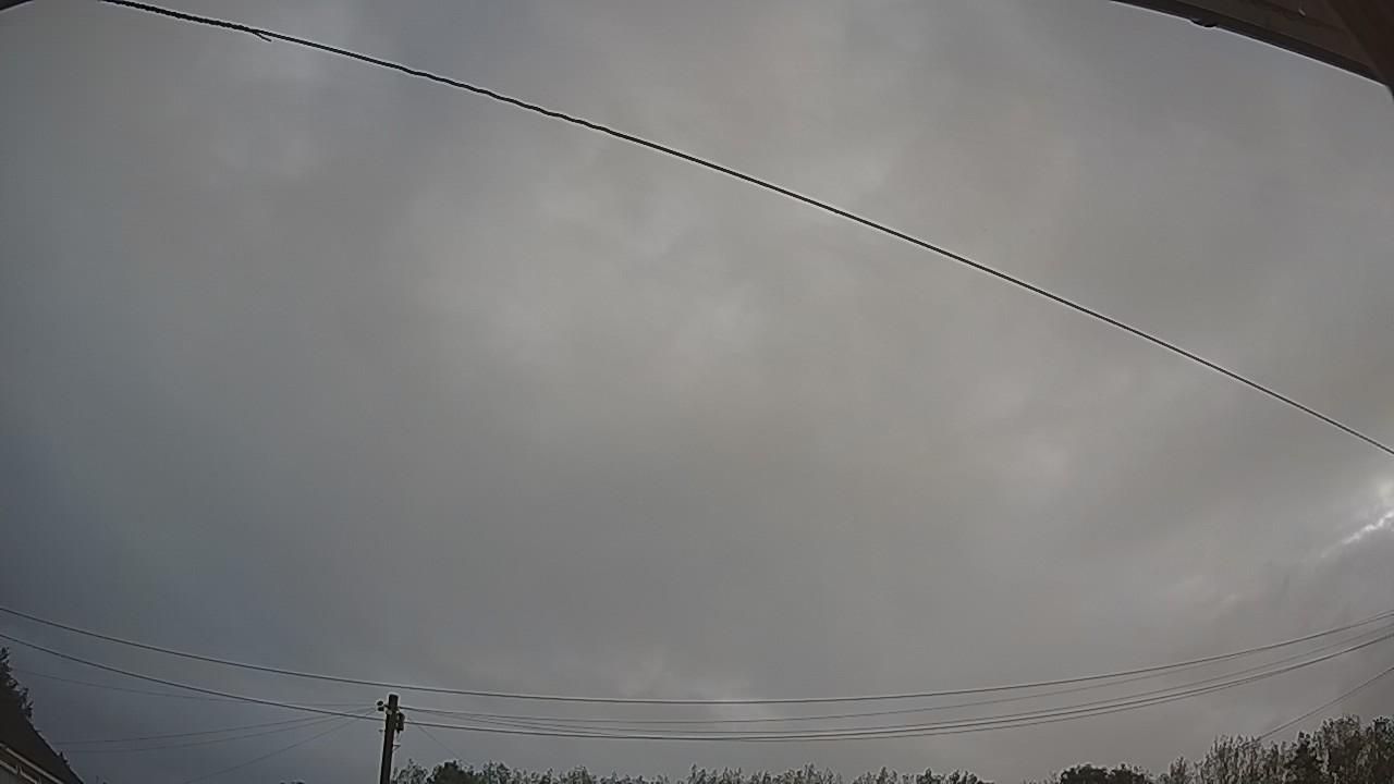 20260819_061744_cam2.jpg