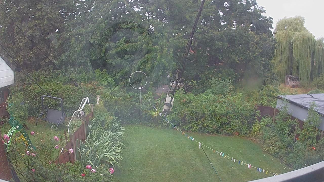 20260819_062228_cam1.jpg