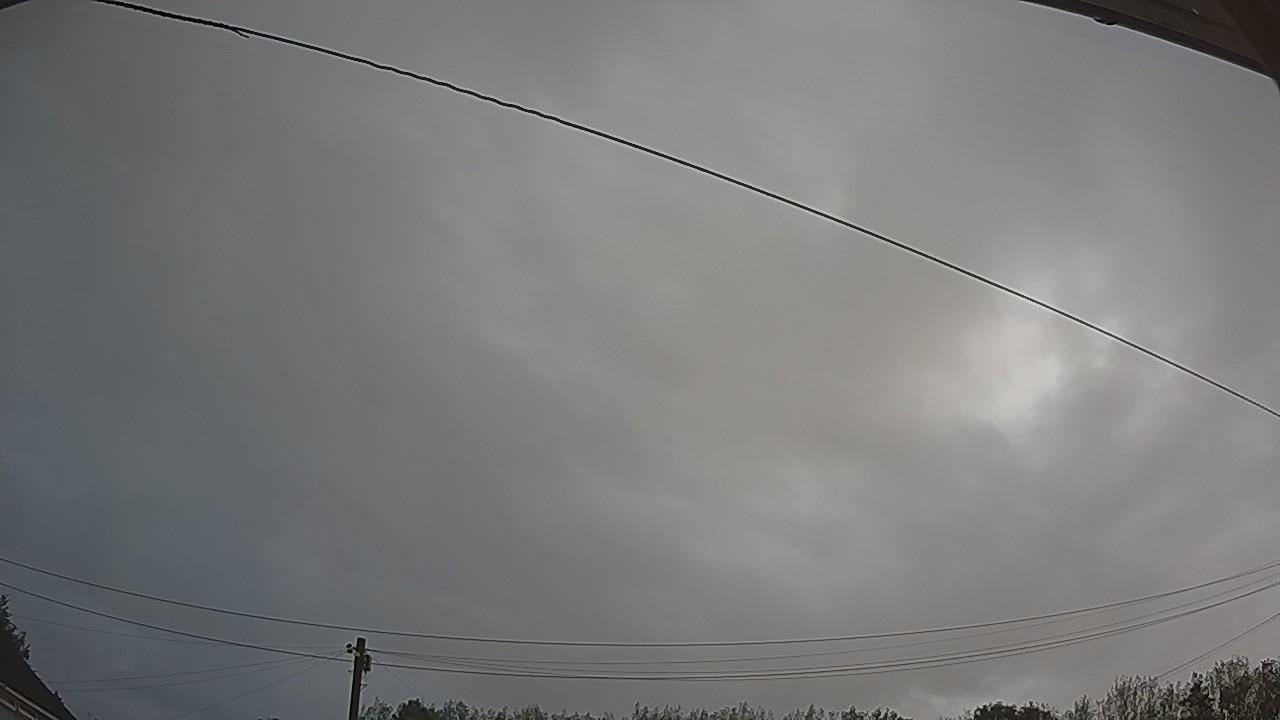 20260819_062229_cam2.jpg
