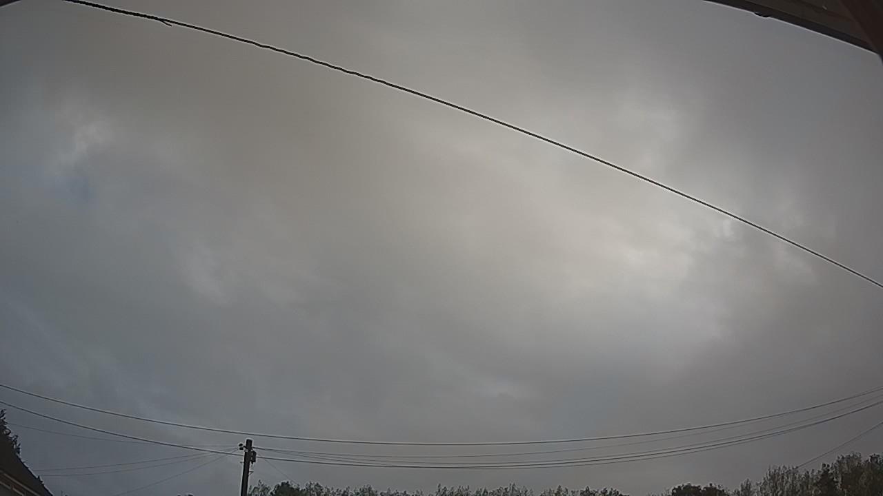 20260819_063208_cam2.jpg