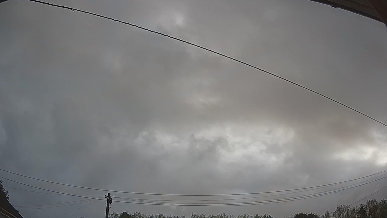 20260819_063701_cam2.jpg