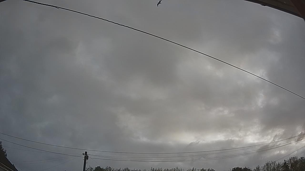 20260819_064154_cam2.jpg