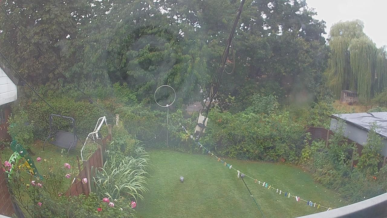 20260819_064646_cam1.jpg