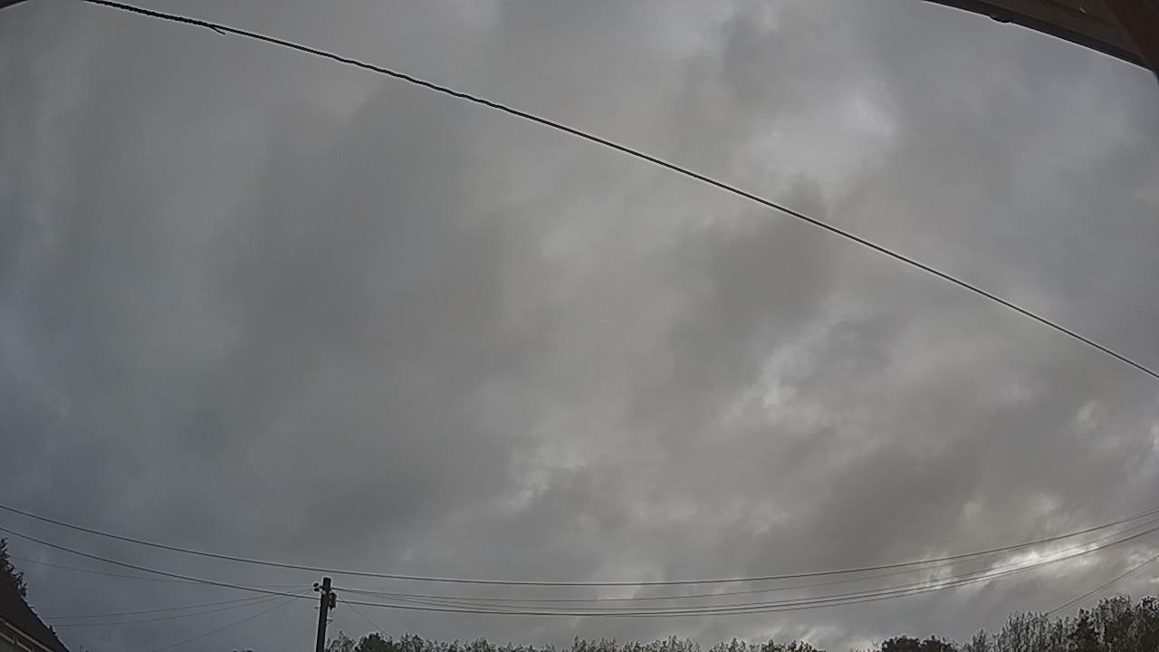 20260819_064647_cam2.jpg