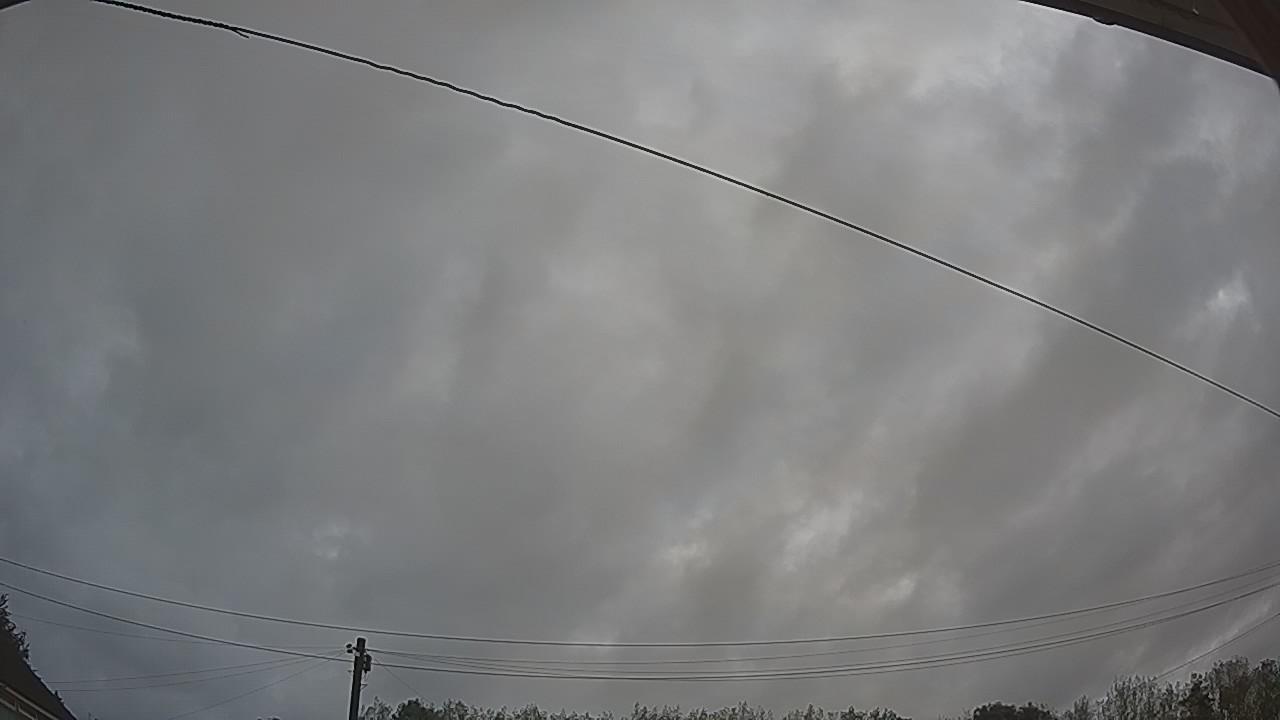 20260819_065140_cam2.jpg