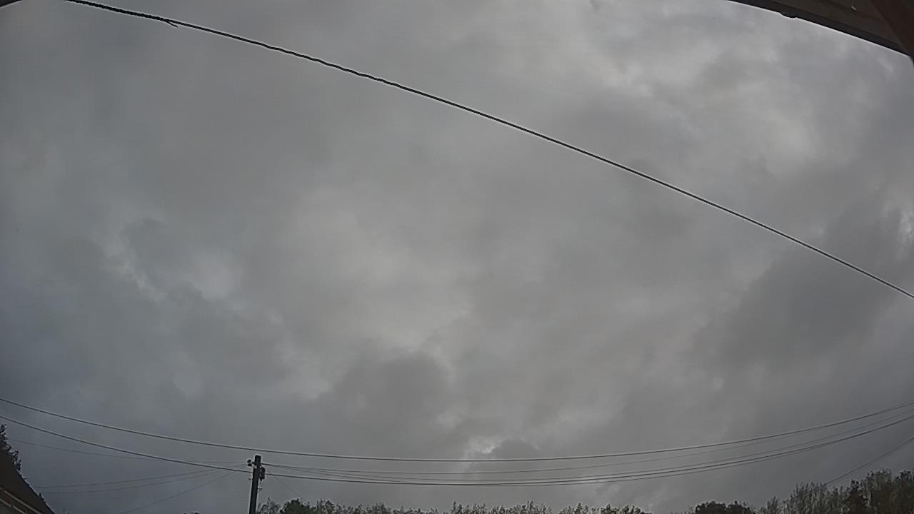 20260819_065634_cam2.jpg