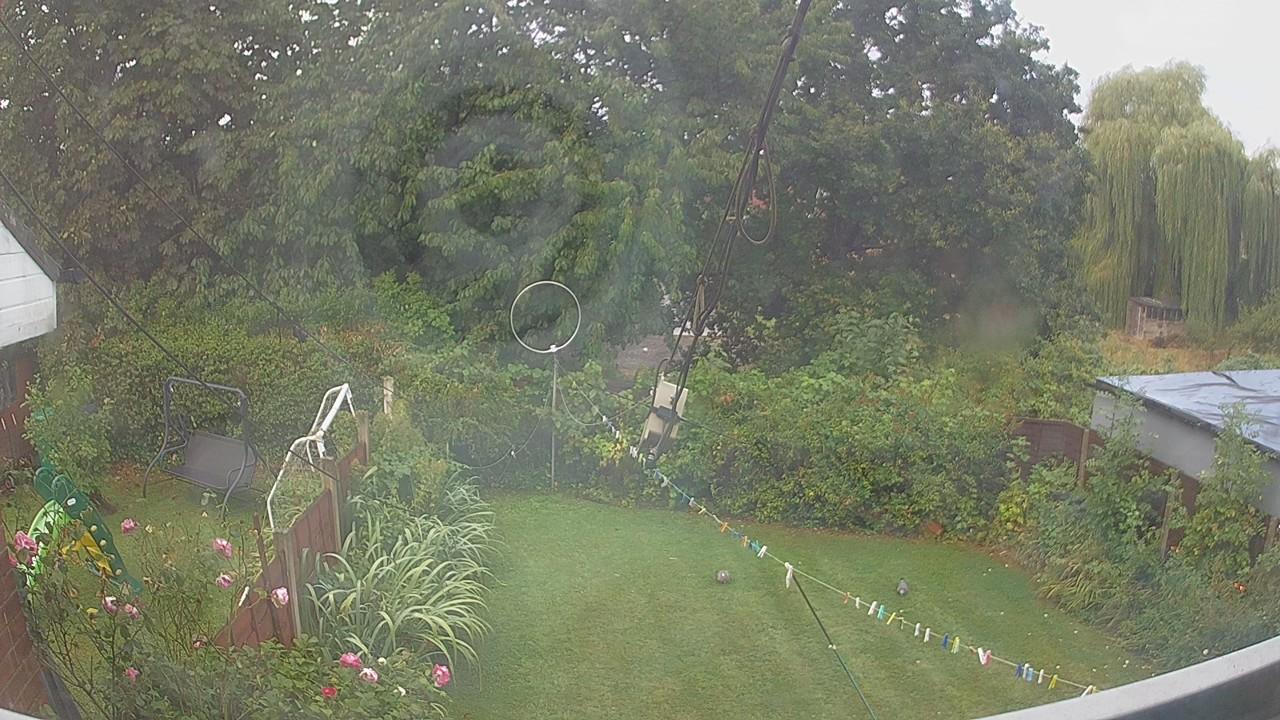 20260819_070118_cam1.jpg