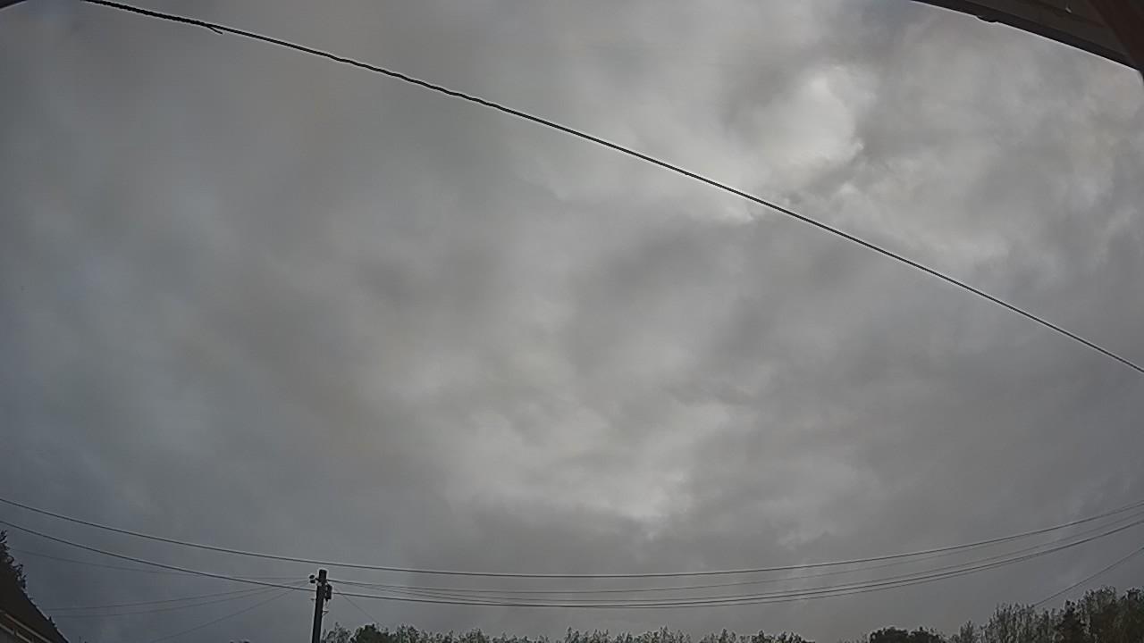 20260819_070119_cam2.jpg
