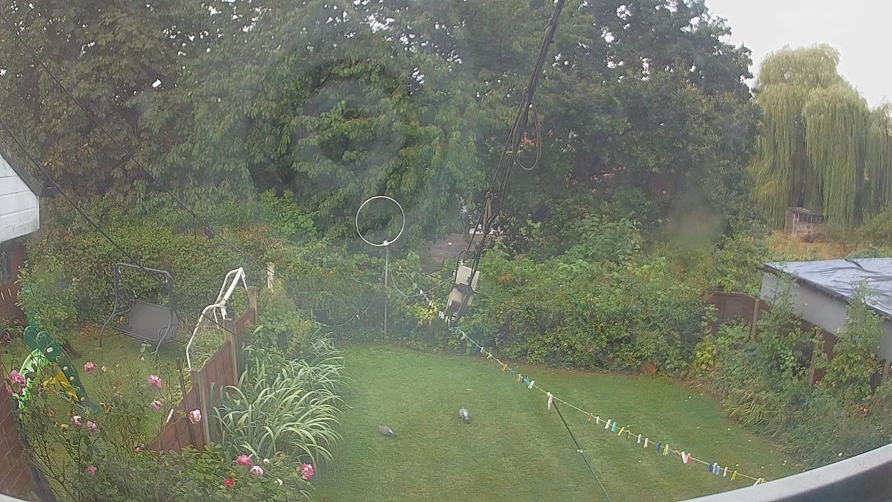 20260819_070603_cam1.jpg
