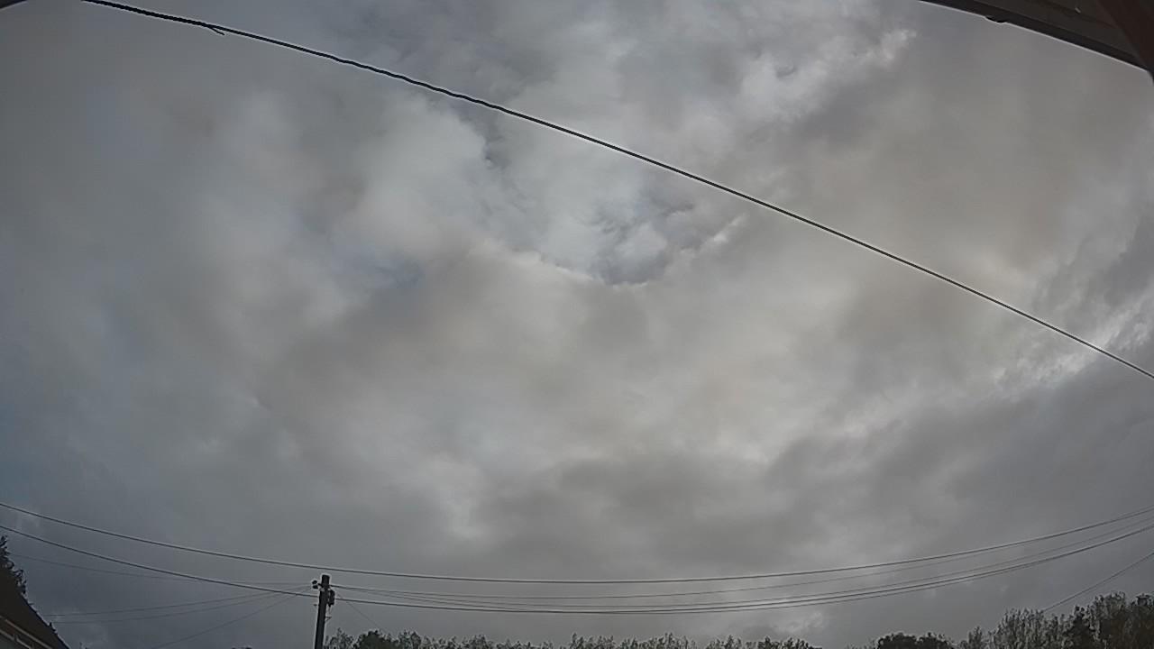 20260819_070604_cam2.jpg