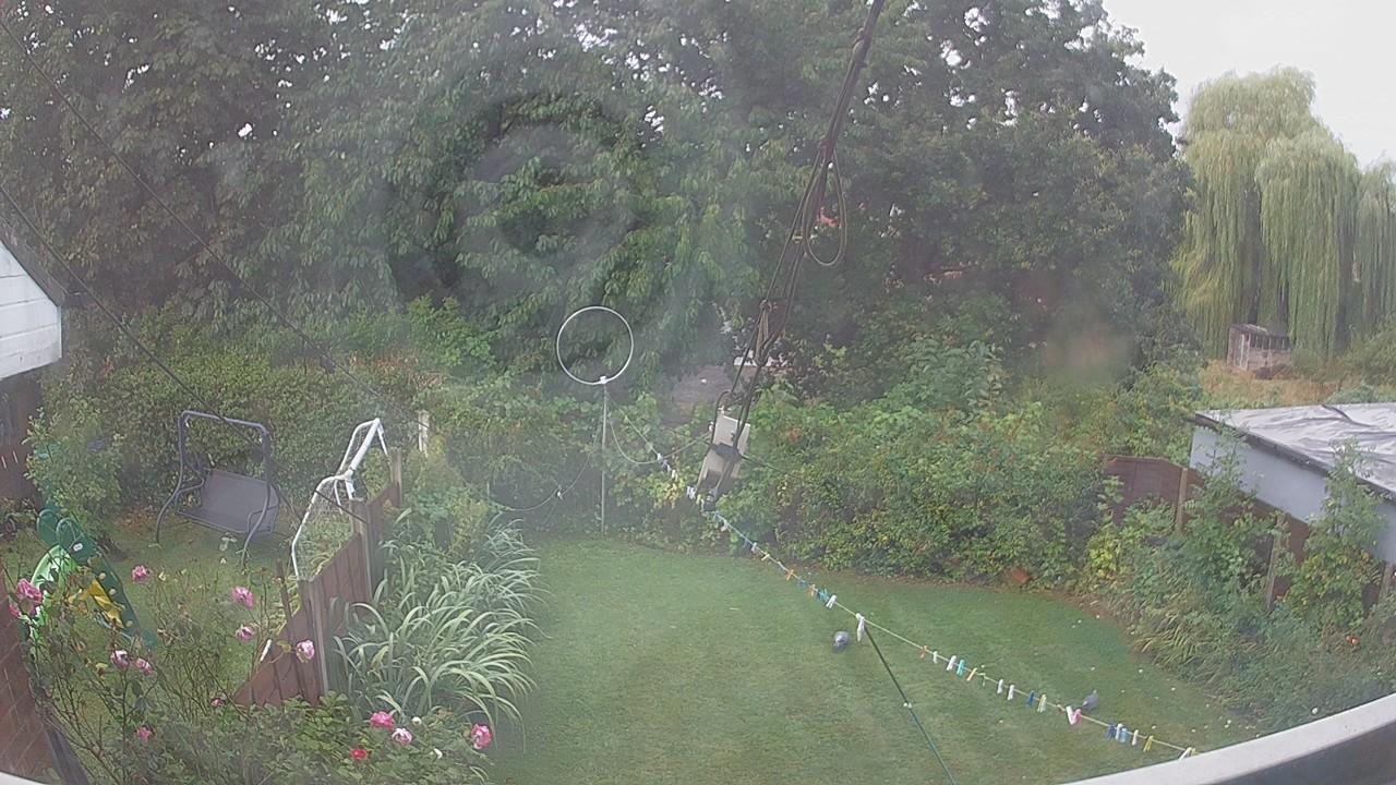 20260819_071532_cam1.jpg