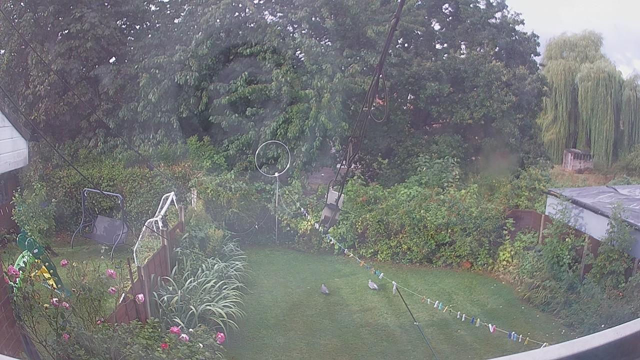 20260819_072017_cam1.jpg