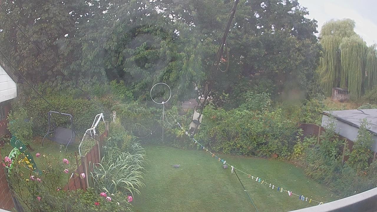 20260819_072501_cam1.jpg