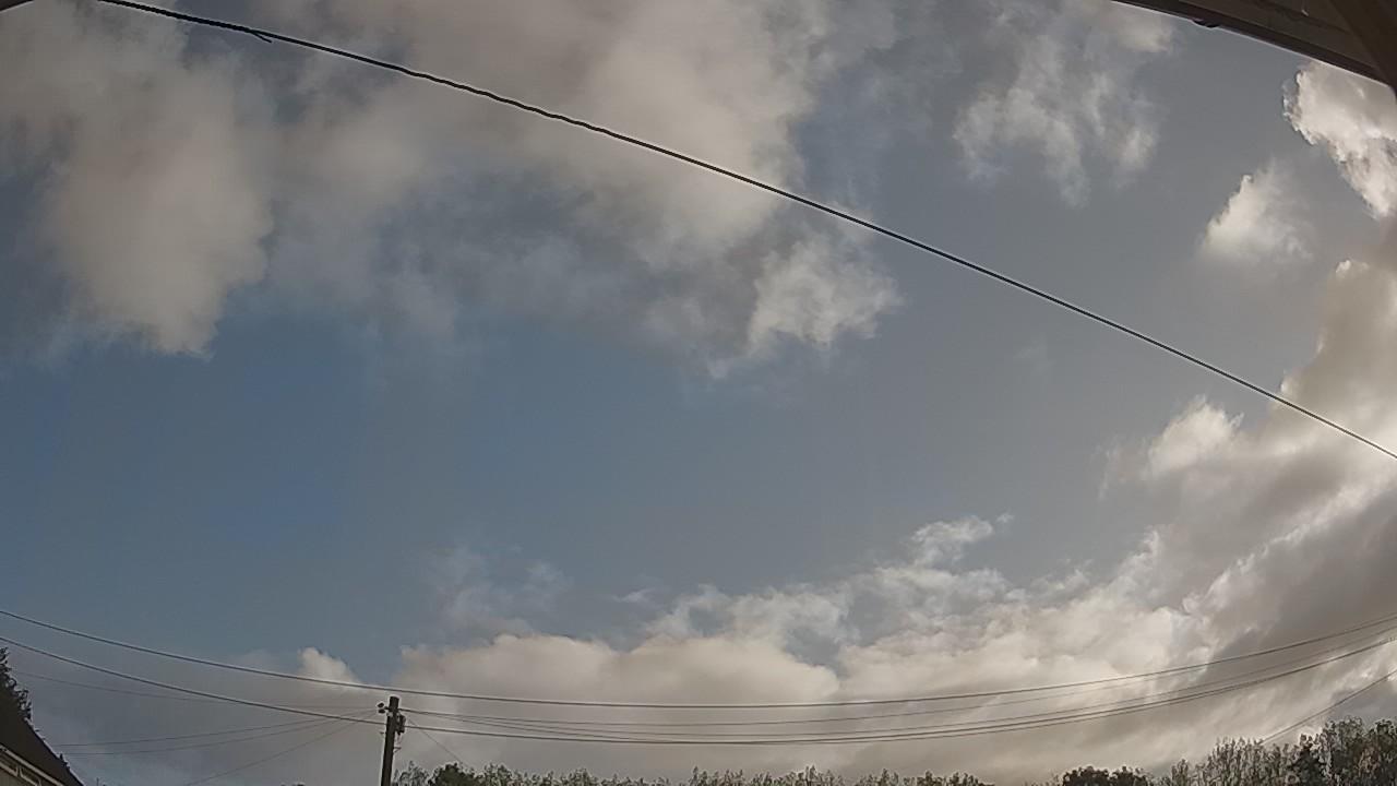 20260819_072502_cam2.jpg