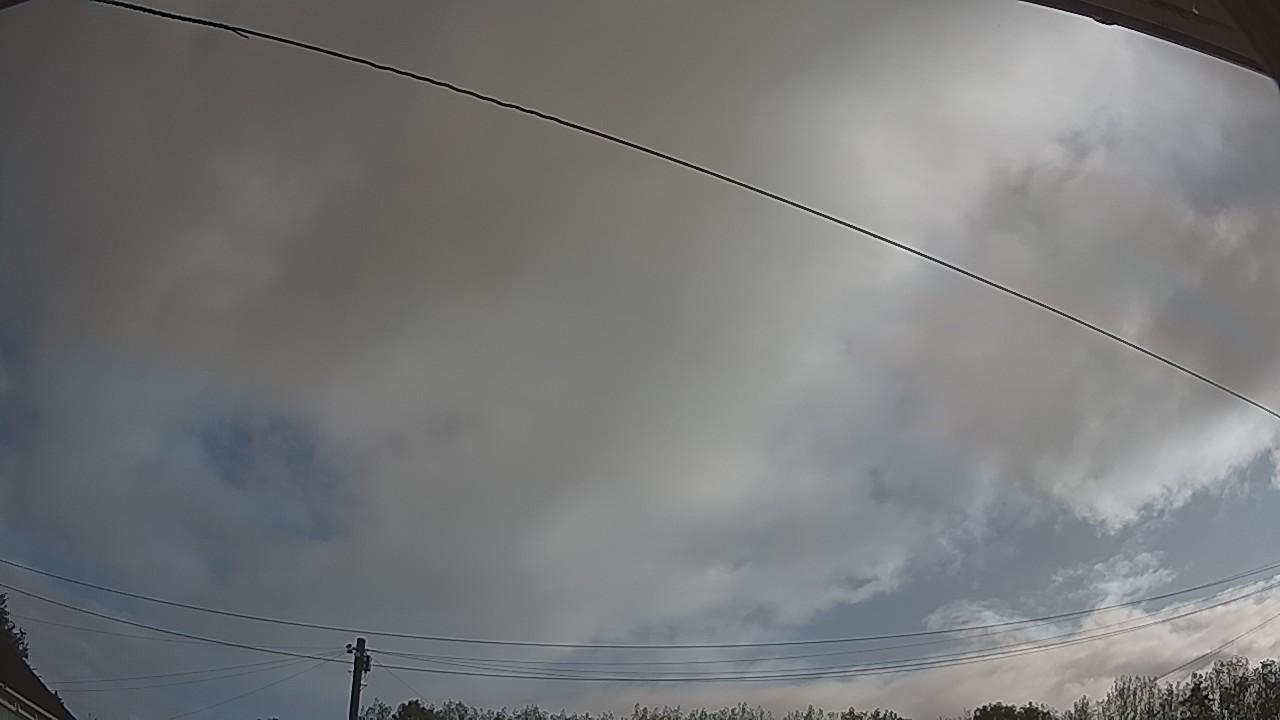 20260819_072938_cam2.jpg
