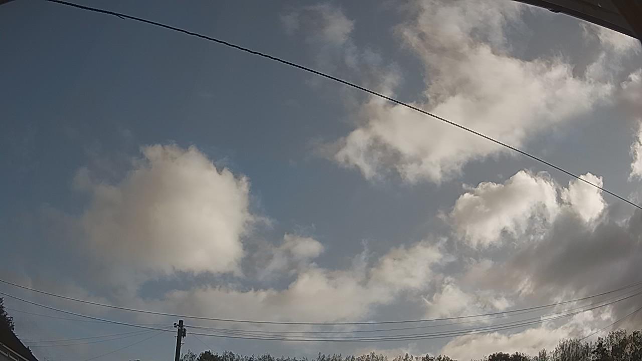 20260819_073848_cam2.jpg