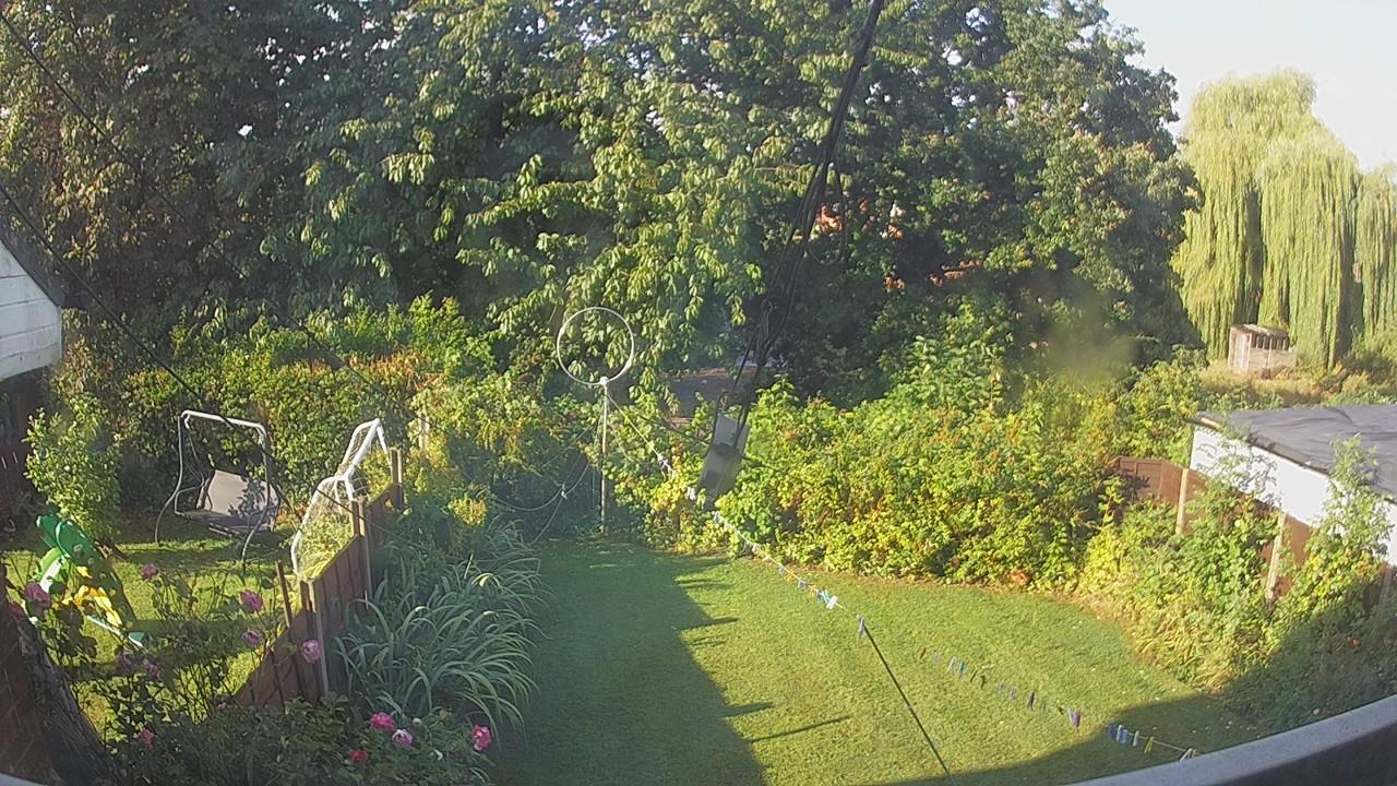 20260819_074322_cam1.jpg