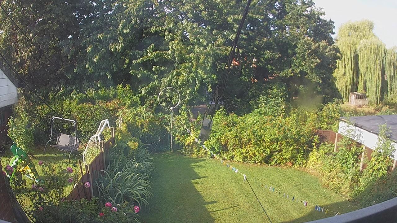 20260819_074758_cam1.jpg