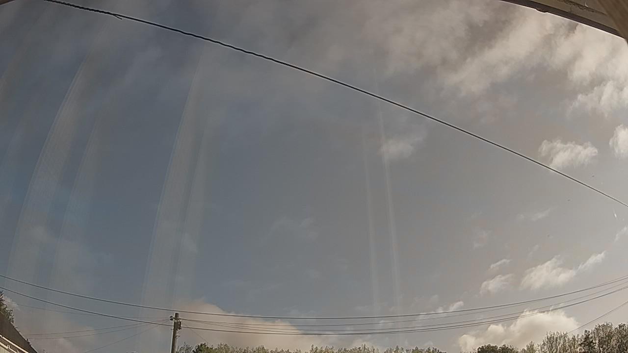 20260819_074800_cam2.jpg