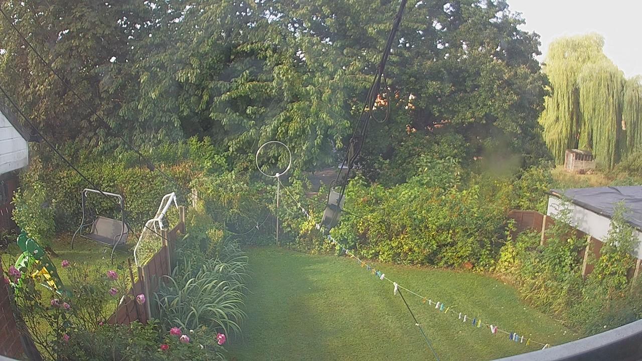 20260819_075711_cam1.jpg