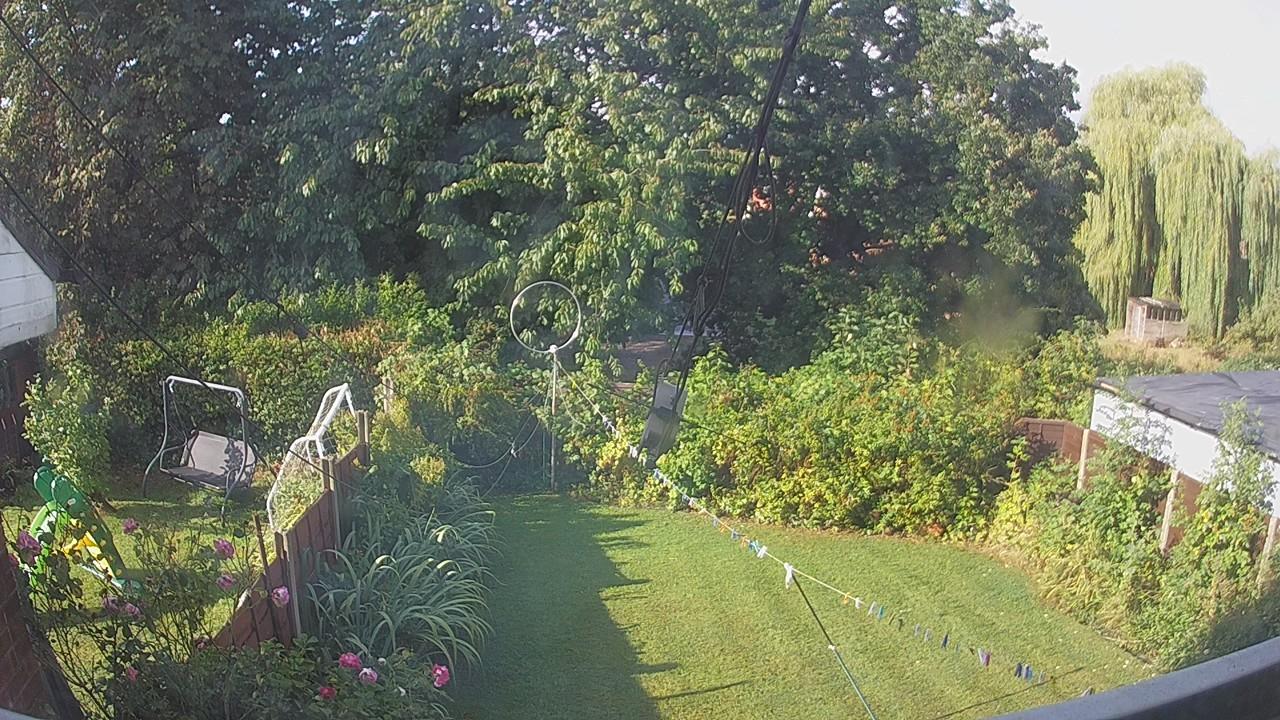20260819_080138_cam1.jpg