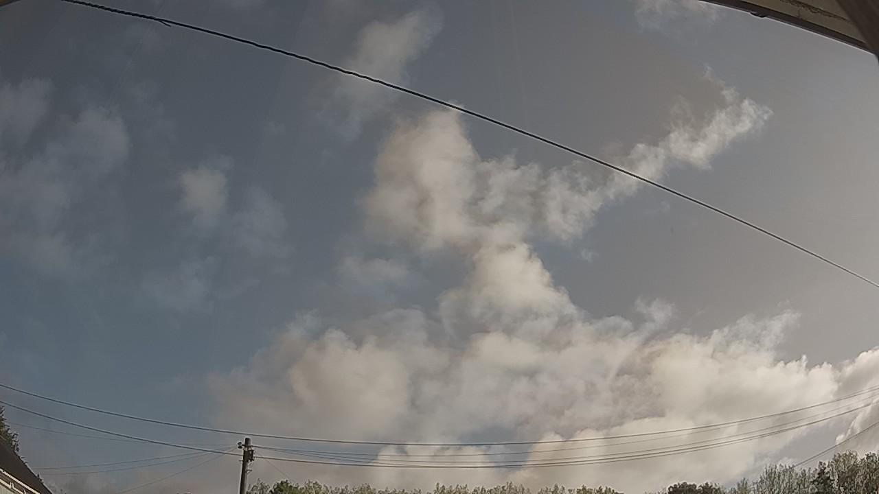 20260819_080140_cam2.jpg