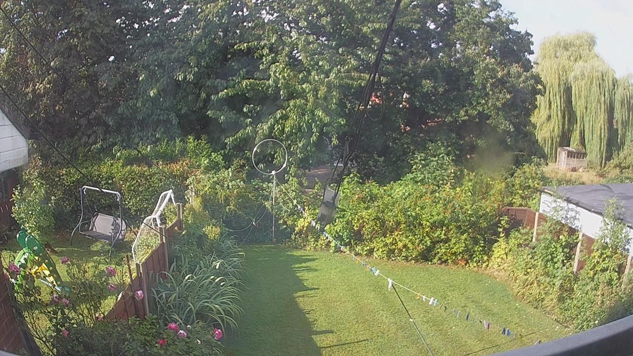 20260819_080605_cam1.jpg