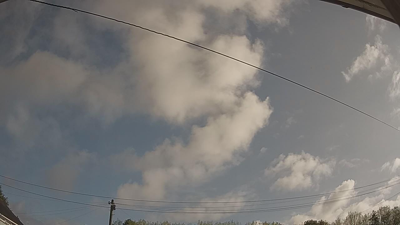 20260819_080606_cam2.jpg