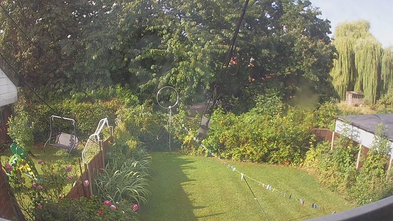 20260819_081032_cam1.jpg