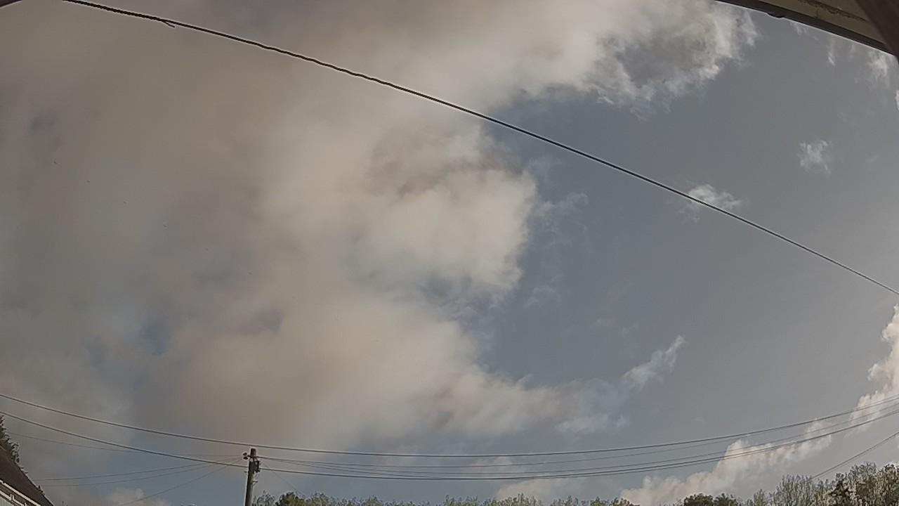 20260819_081033_cam2.jpg