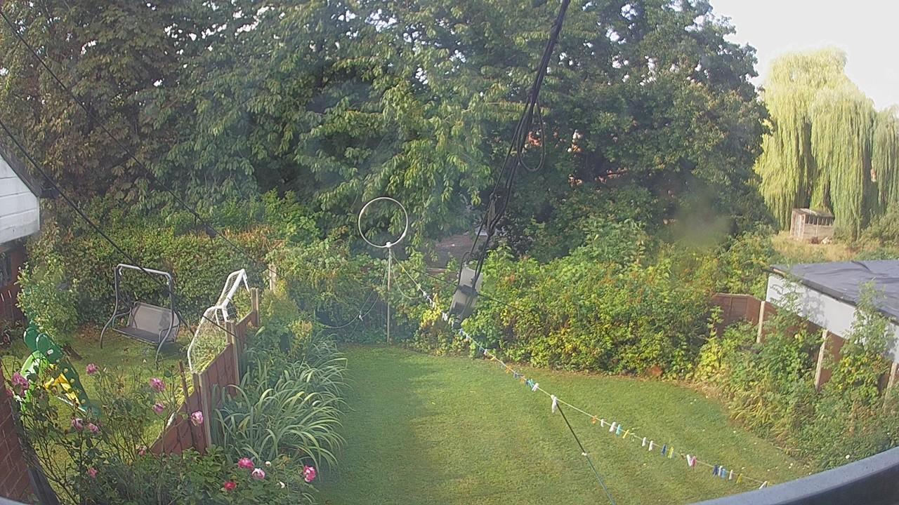 20260819_081459_cam1.jpg