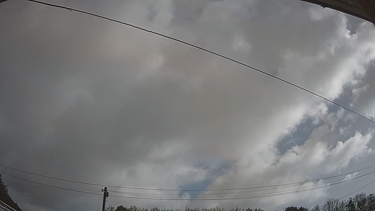 20260819_081500_cam2.jpg