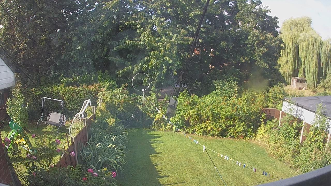 20260819_081926_cam1.jpg