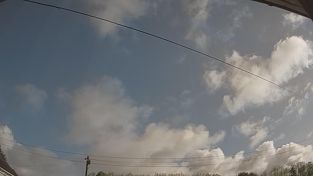 20260819_082354_cam2.jpg