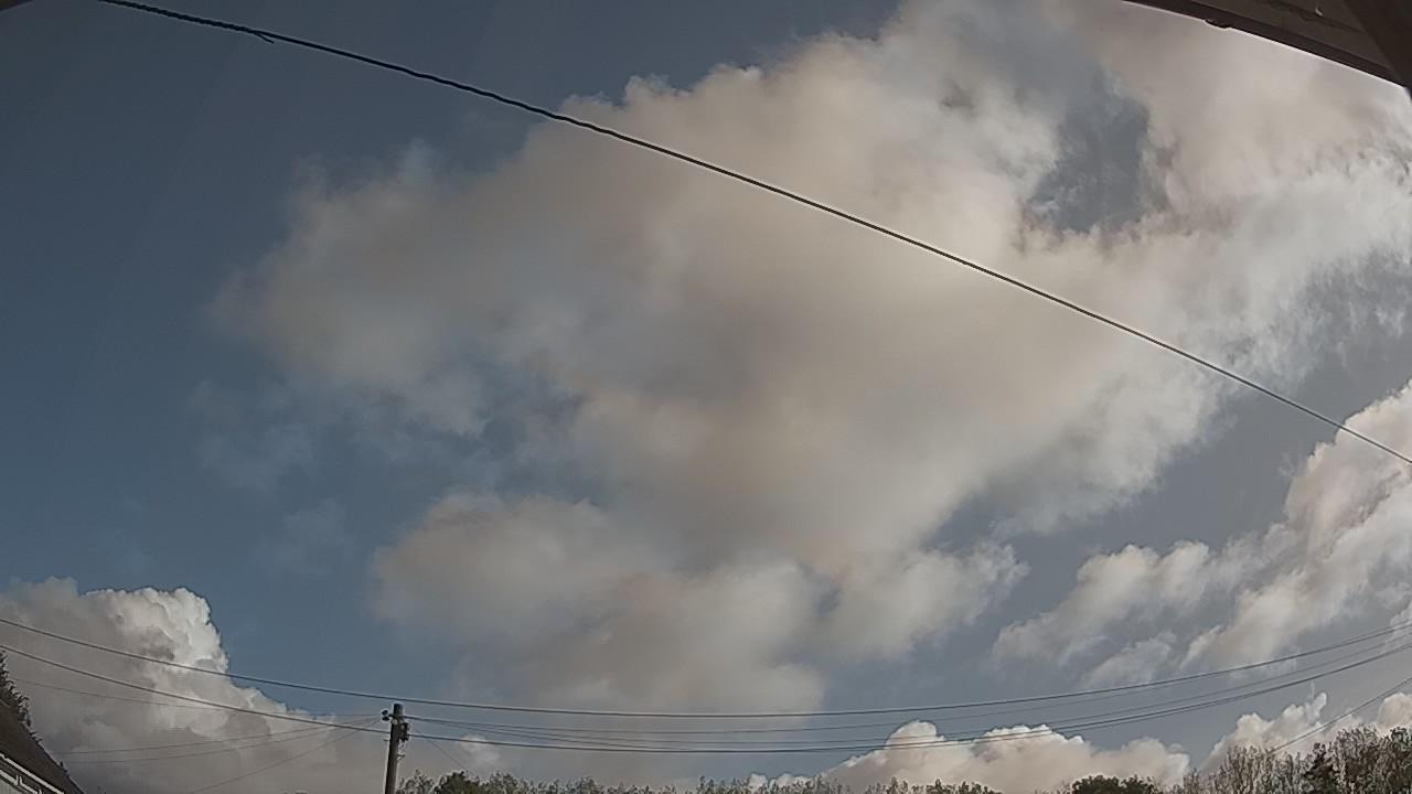 20260819_082821_cam2.jpg