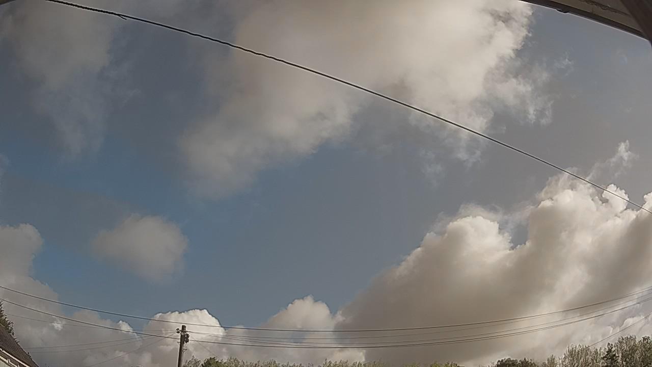 20260819_083239_cam2.jpg