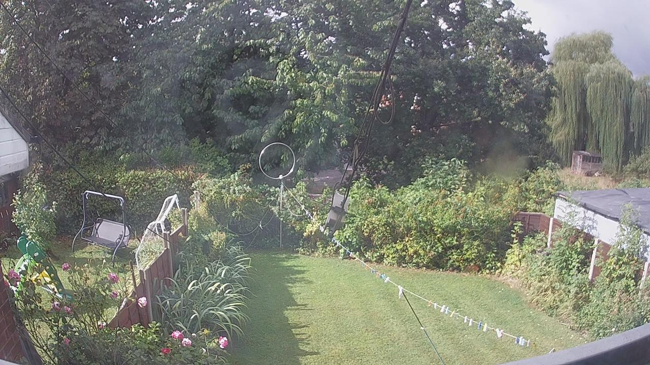 20260819_083656_cam1.jpg